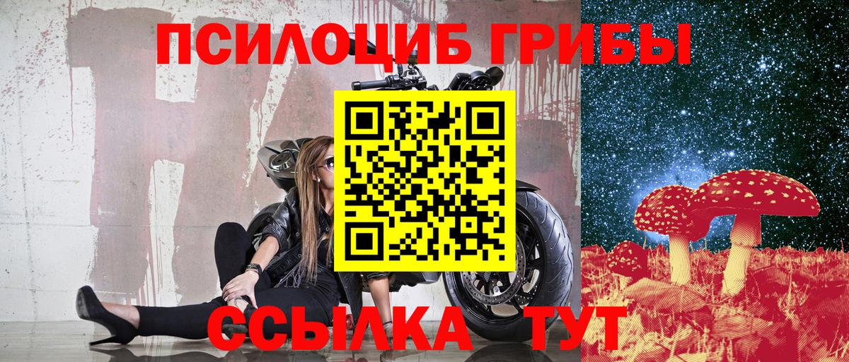 купить наркотики сайты  Галлюциногенные грибы Psilocybe  Вход с VPN  Йошкар-Ола  Галлюциногенные грибы GOLDEN TEACHER 